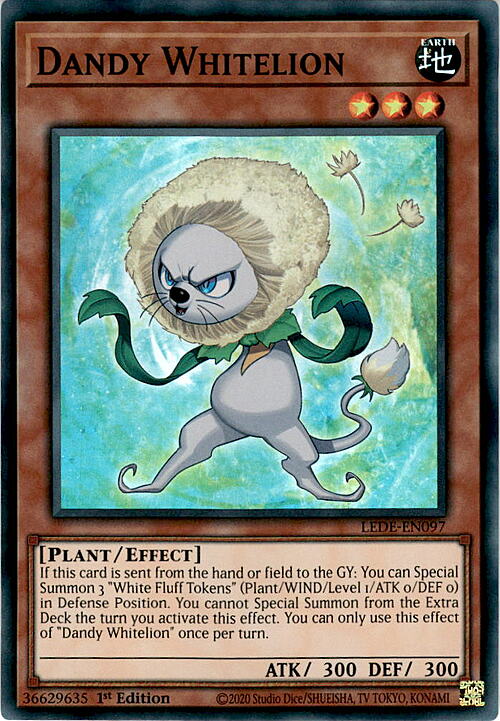Dandy Whitelion