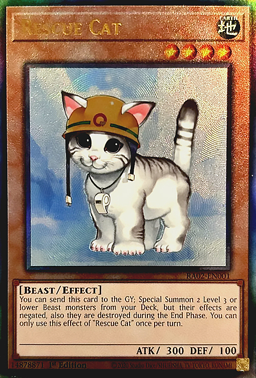 Rescue Cat