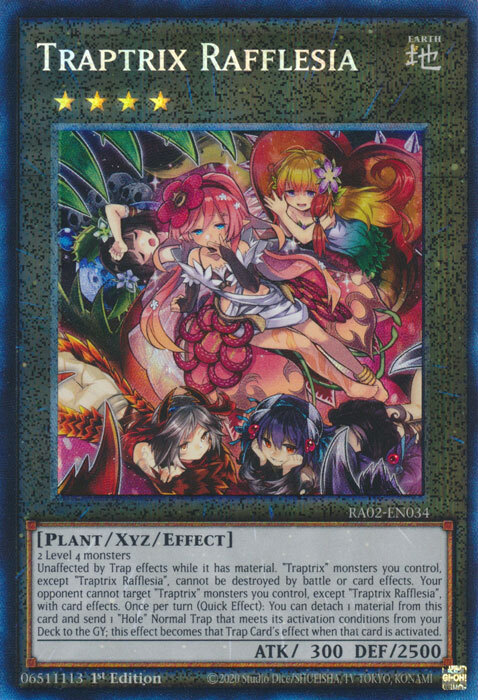 Traptrix Rafflesia