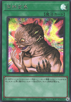 Metamorphosis