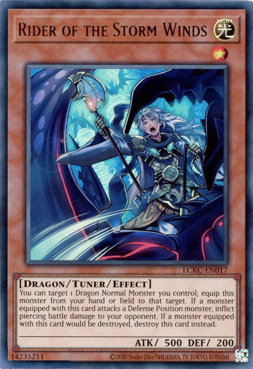 Rider of the Storm Winds