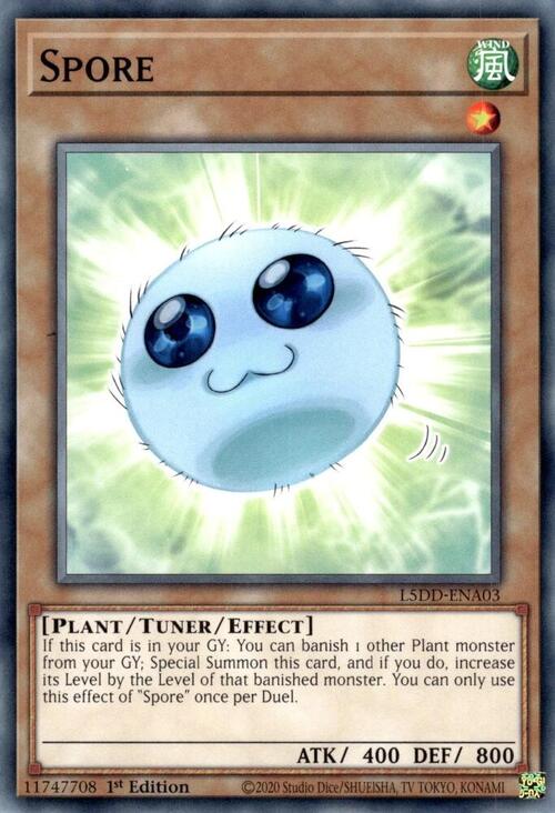 Spore