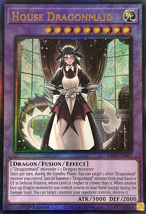 House Dragonmaid