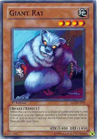 Giant Rat