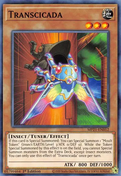 Transcicada
