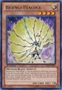 Bujingi Peacock