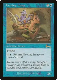 Fleeting Image