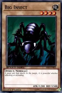 Big Insect