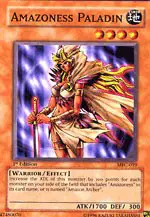 Amazoness Paladin