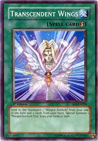 Transcendent Wings