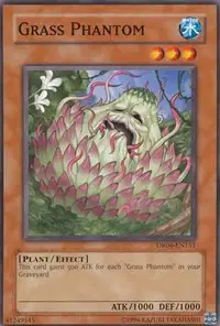 Grass Phantom