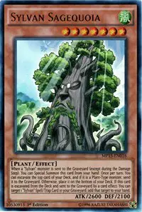 Sylvan Sagequoia