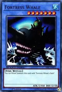 Fortress Whale