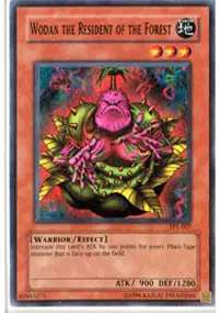 Wodan the Resident of the Forest