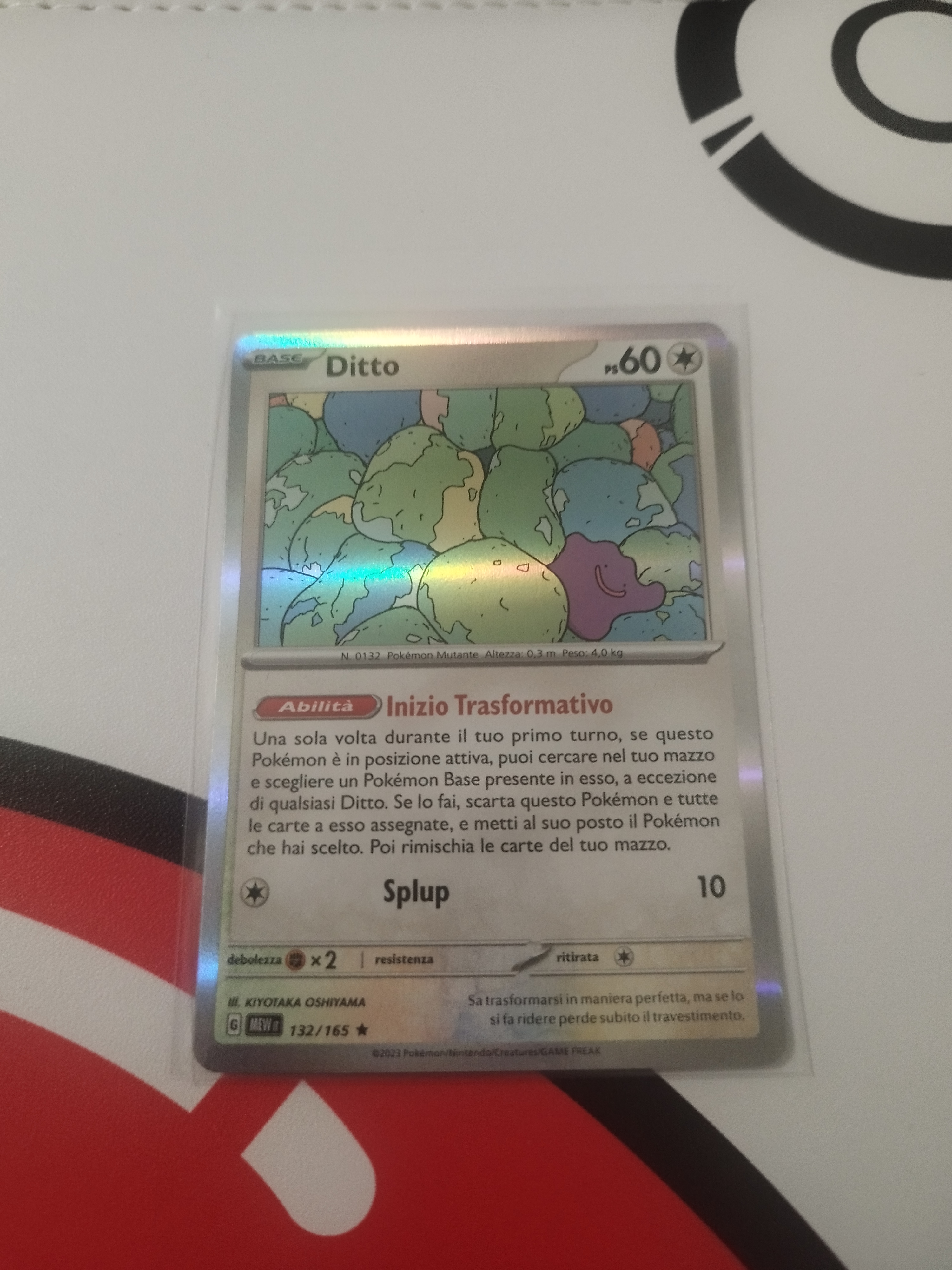 Auction Image 2