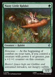 Nasty Little Rabbit