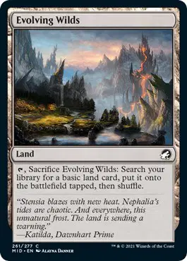 Evolving Wilds