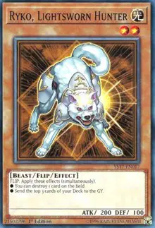 Ryko, Lightsworn Hunter