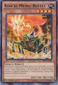 Koa'ki Meiru Beetle