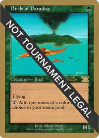 Birds of Paradise