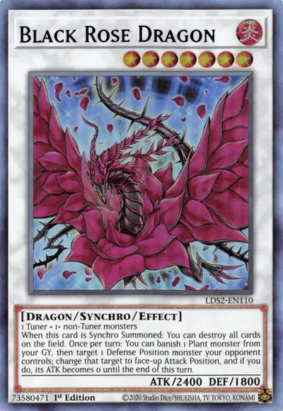 Black Rose Dragon