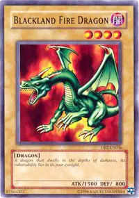Blackland Fire Dragon