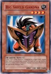 Big Shield Gardna