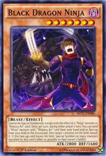 Black Dragon Ninja