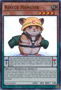 Rescue Hamster