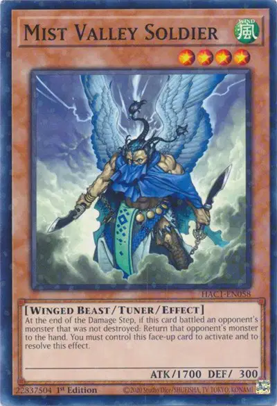 Mist Valley Soldier