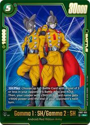 Gamma 1 : SH/Gamma 2 : SH