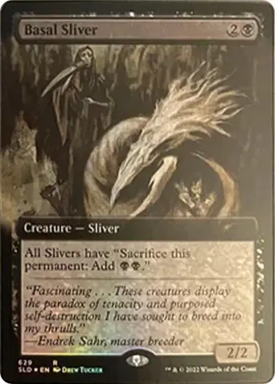 Basal Sliver
