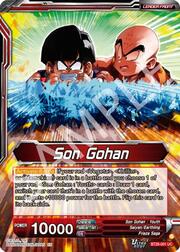 Son Gohan // Son Gohan, Protecting the Weak