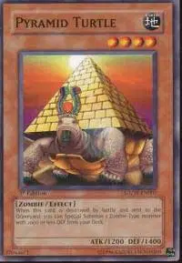 Pyramid Turtle