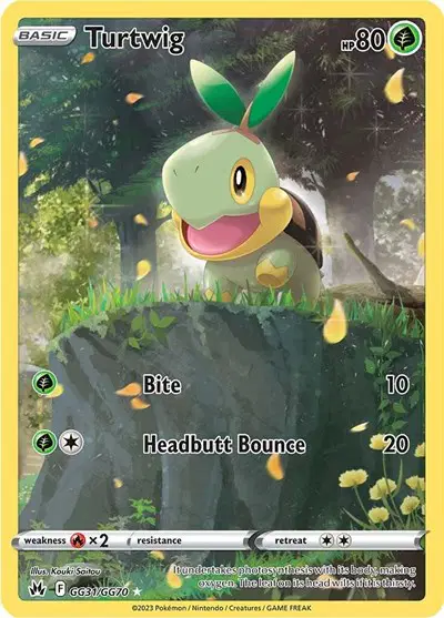 Auction card for Turtwig