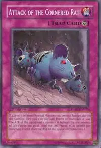 Attack of the Cornered Rat
