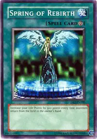 Spring of Rebirth