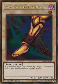 Right Leg of the Forbidden One