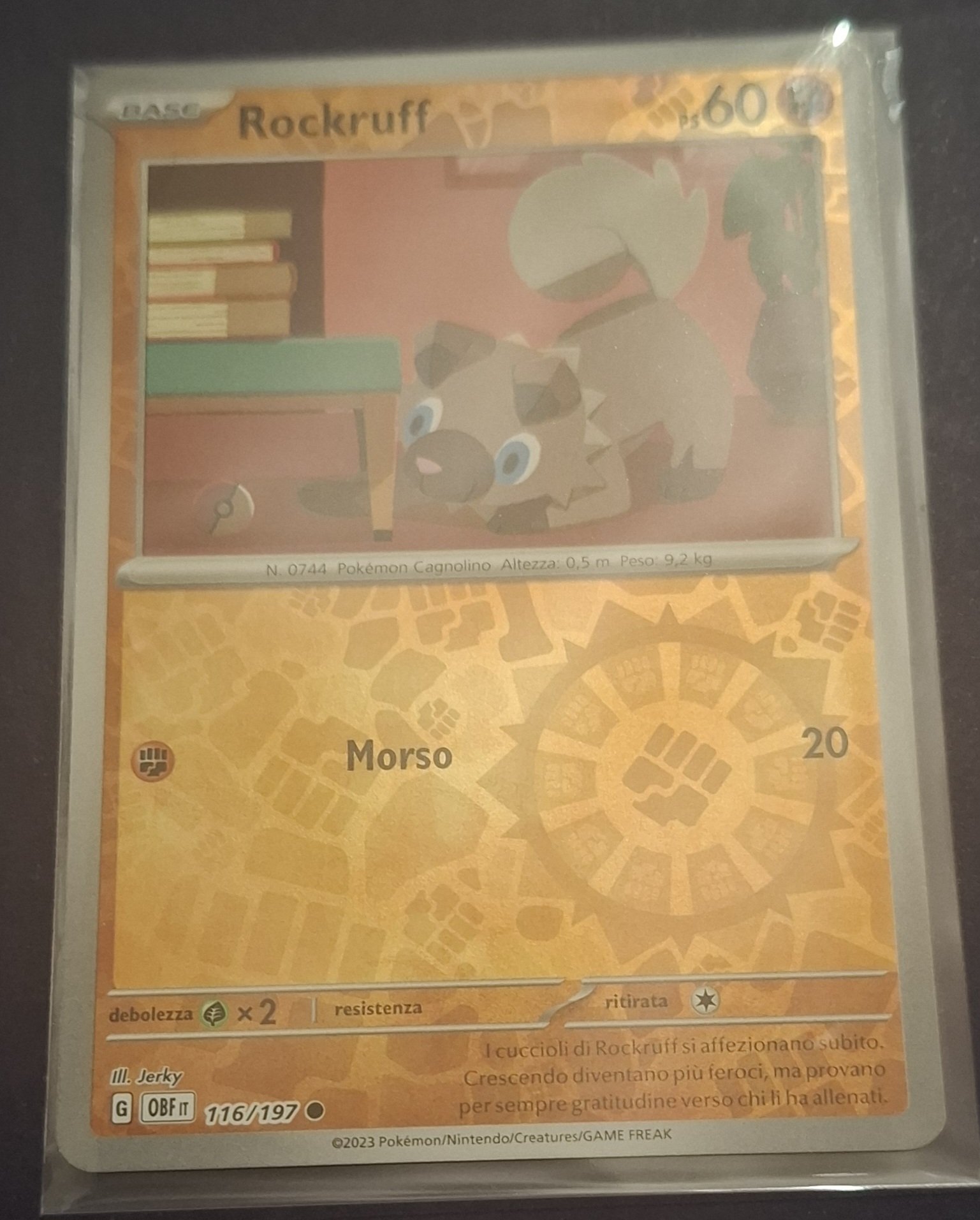 Auction Image 2