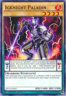 Igknight Paladin