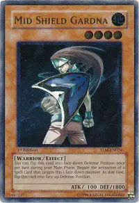 Mid Shield Gardna