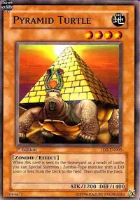 Pyramid Turtle