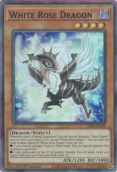 White Rose Dragon