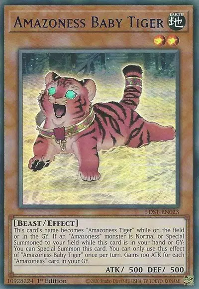 Amazoness Baby Tiger