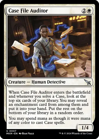 Case File Auditor