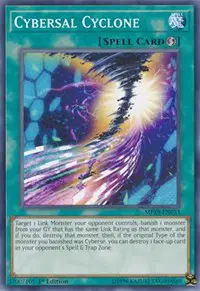 Cybersal Cyclone