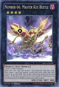 Number 66: Master Key Beetle