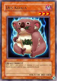 Des Koala