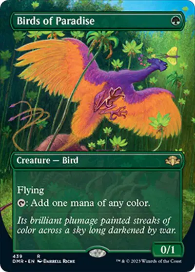 Birds of Paradise