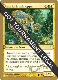 Anurid Brushhopper